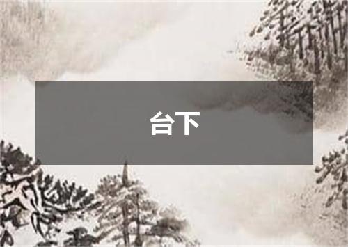 台下