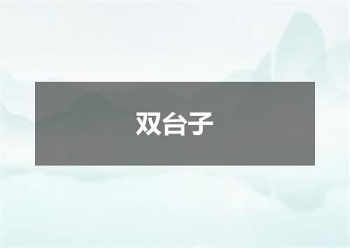 双台子