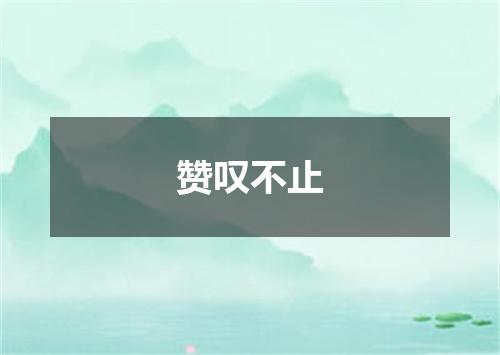 赞叹不止
