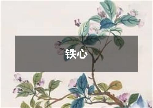 铁心