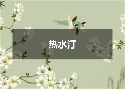 热水汀