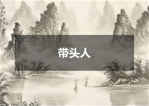 带头人