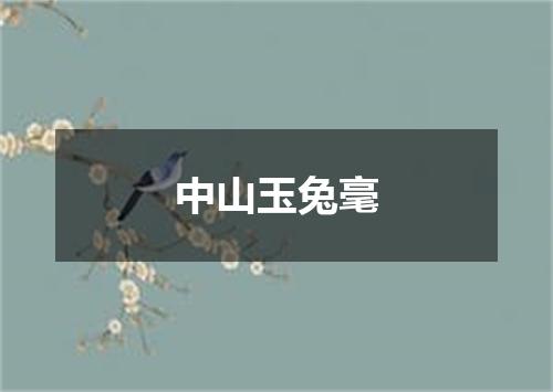 中山玉兔毫