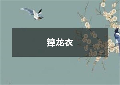 箨龙衣