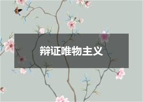 辩证唯物主义