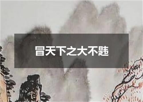 冒天下之大不韪