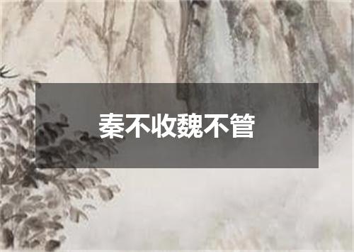 秦不收魏不管
