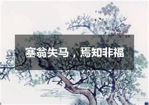 塞翁失马，焉知非福