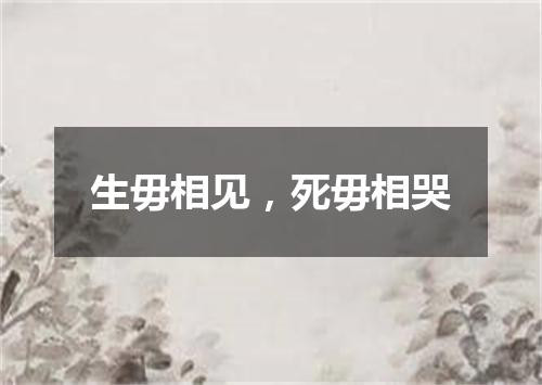 生毋相见，死毋相哭