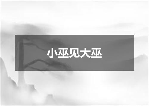 小巫见大巫