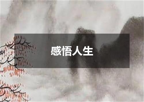 感悟人生