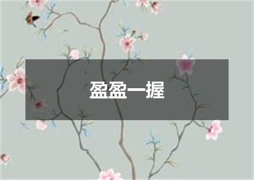 盈盈一握
