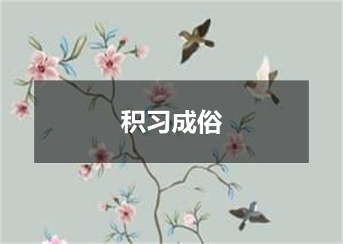 积习成俗