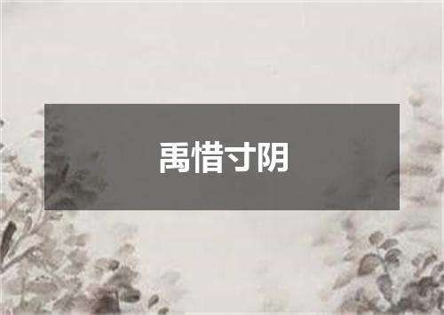 禹惜寸阴