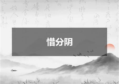 惜分阴