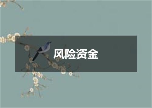 风险资金