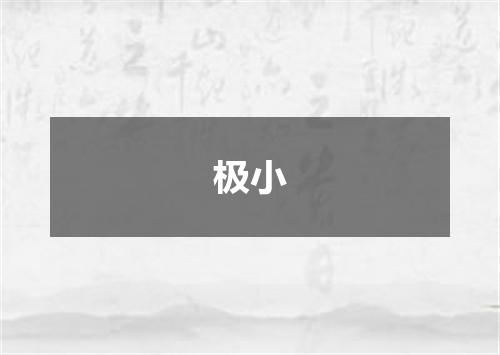 极小