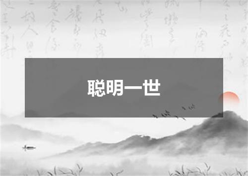 聪明一世