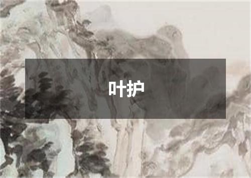 叶护
