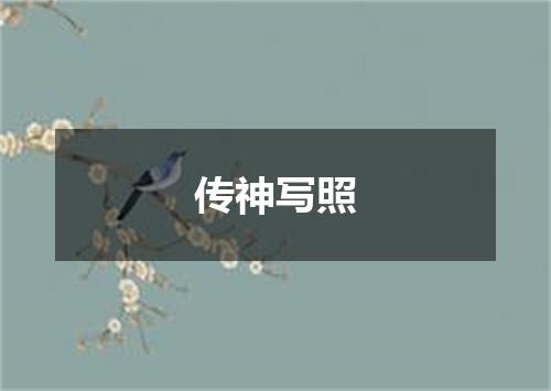 传神写照