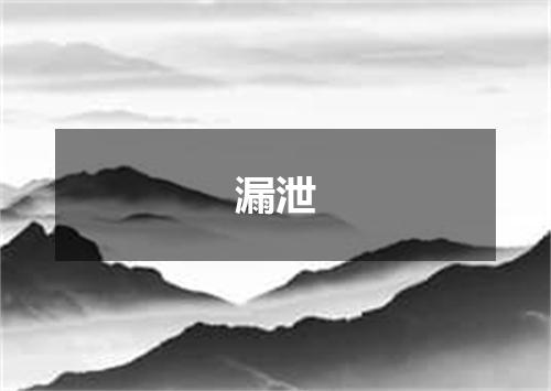 漏泄