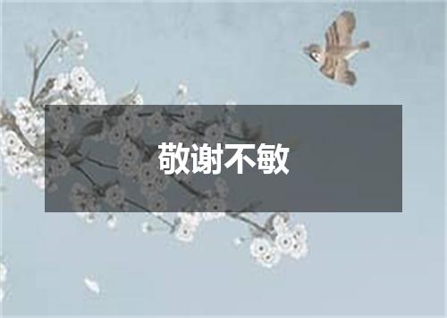 敬谢不敏