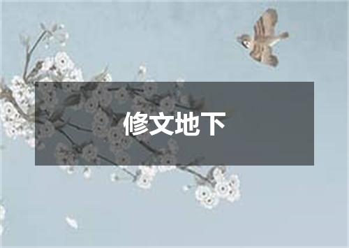修文地下