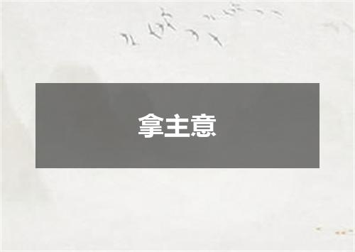 拿主意