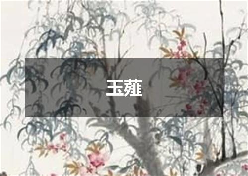玉薤