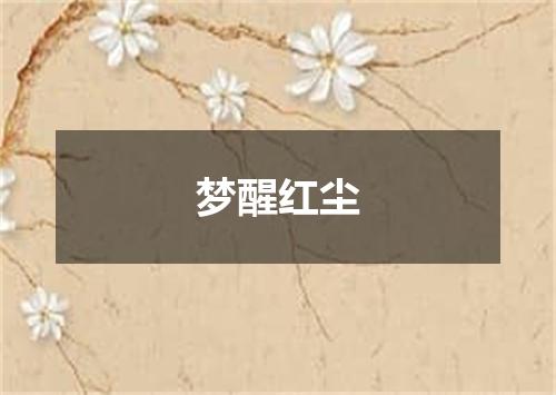 梦醒红尘