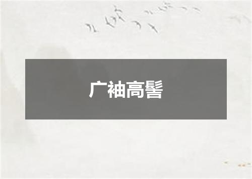 广袖高髻