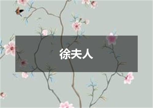 徐夫人