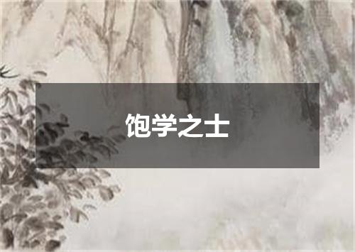 饱学之士