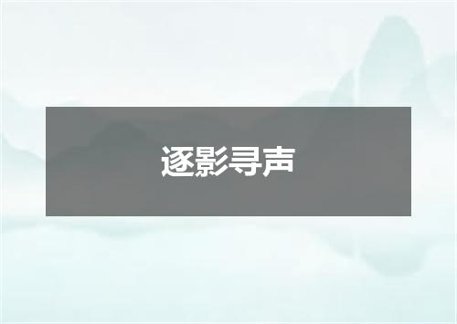 逐影寻声