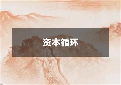 资本循环
