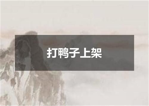 打鸭子上架