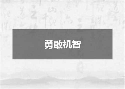勇敢机智