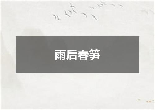 雨后春笋