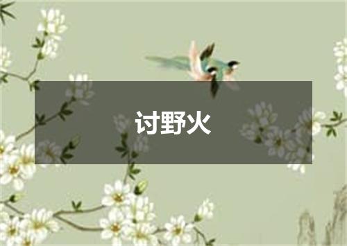 讨野火