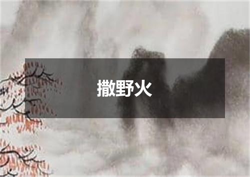 撒野火