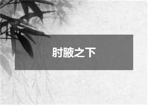 肘腋之下