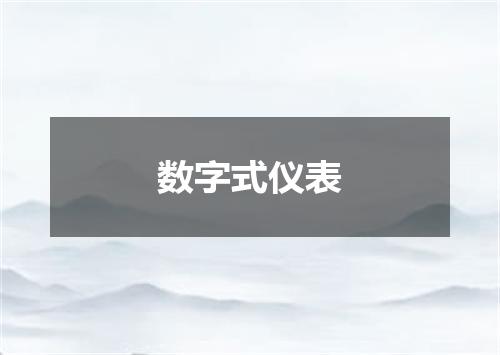 数字式仪表