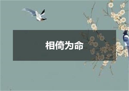 相倚为命