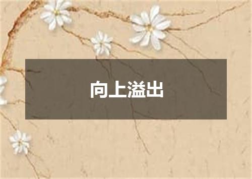 向上溢出