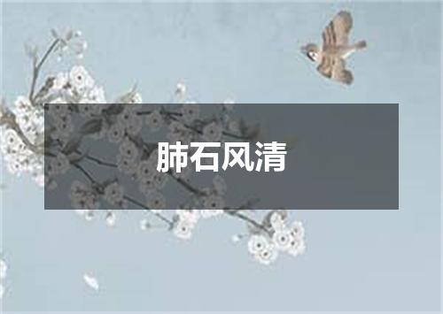 肺石风清