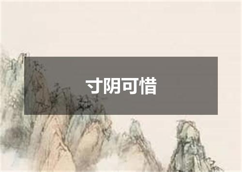 寸阴可惜