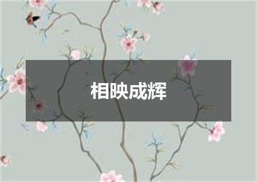 相映成辉