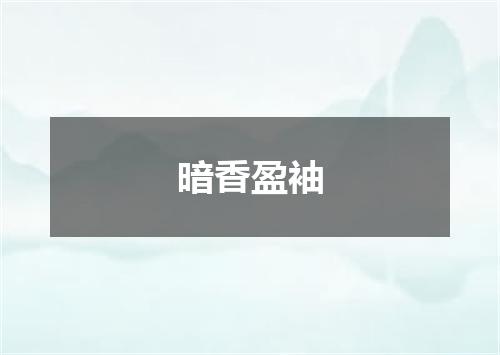 暗香盈袖
