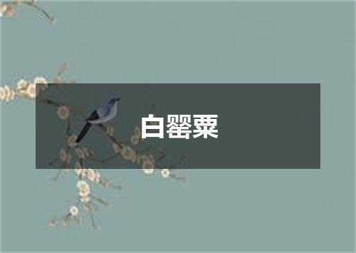白罂粟