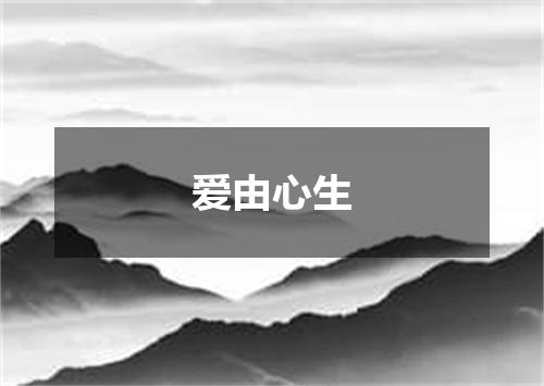 爱由心生